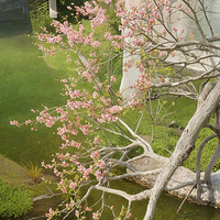 �������Ϻ���