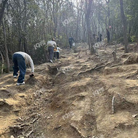 �����ͽ��������߷����ɽ�������˼ҳ������ٻص������˼ҡ�