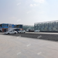 �β�С����Ұ��