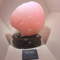 ����ݻ��ǵ��ʲ����������ˣ�