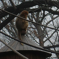 �Ͼ���ɽ����԰