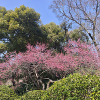 ��ɽ-��̩-����һ����