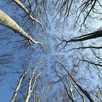 �Ͼ���ɽ�꣬���¾��ǳ�