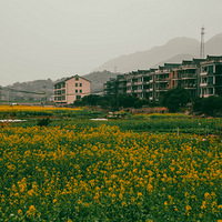 ̫���ˣ���������ǧĶ�Ͳ˻�����