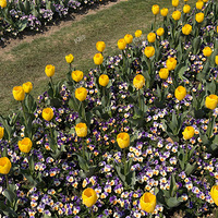 Ҧ�ҵ��Ļ�����Ư��ѽ