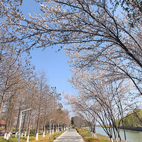 �������̵�