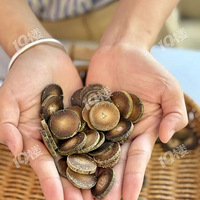 ����������ʮԪ��25 �����仯��ë�ٺ�̥�� ���ϴ��� �����ӣ�