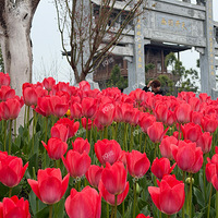 û����Ҧ�ҵ�������Ŀ���ȥ����С���������ÿ���