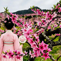 ���ûƭ�ң�����ɽ����С��һ���