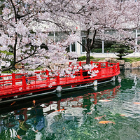 �ٱ����ٱ����ŵϵ�ӣ���Ѿ�����