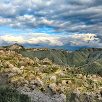 ��ʱ�������ȷ�Ь�����ò���Ǯ��5Сʱ����8.8km����ɢ��