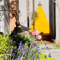 ������ط���Ȼ�������շ���ʮ��