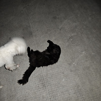 è���費���ü�����