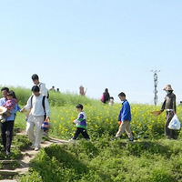 ���ټ۸�һ·���ǣ����������縺���ˣ������ҵ�����