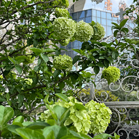 �ַ���һ�������ͻ��ĵط�