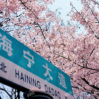 ���������ӣ�����ܶ���ȥ���մ�