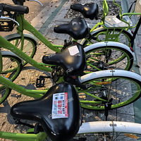 ţƤѢ�޿ײ��룬����������Ҳ���Ź���