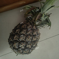 ȫ��3���ܸ˳��ɵ���û����������3���ɷ��ز�һ���