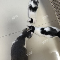 Сè������