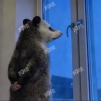 ICU���ѡ���⣺���仼�߲�����������ô�죿ҽԺ������������