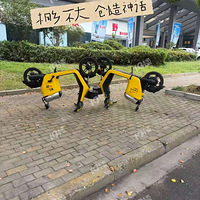 ������˵������й����������������������һ������ĳ���
