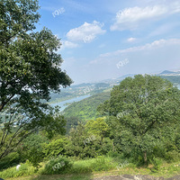 ������ȥ���桿�ϱ���Ϊɶ�Ҷ����ĺ���