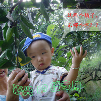 Ư+СĴͷ(֧3Ŷ,лл!)