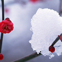 ������±�����������