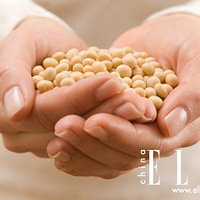 ���ɲ�֪ �˴󾭵���ʹ�ʽ