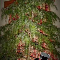 X\'mas tree--��������