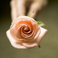 2010��12�������꿪��