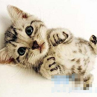 ������--ÿ��Ů��������DD~~~~