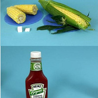 ���ʵ�����Ҫ����ѽ��������֪����һ����һ��