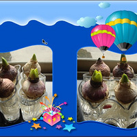 ��ͷ�ķ�����--�ɳ�ƪ