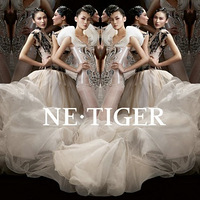 NE��TIGER 2010�߼����ƻ�����Ƭ