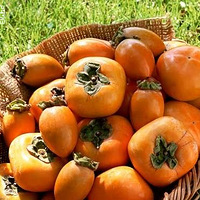 12���µ���ˮ�� ��ˮ��Ҫ�°빦��