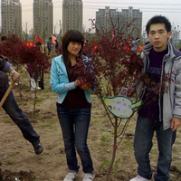 Żɴȥ---򵥵ҸҰ㣬һ