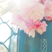 12���������������ϰ��