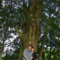 �����Ż�ɴȥ���Ρ�+�Ҹ�û�нݾ� ֻ�о�Ӫ