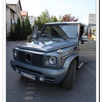˹ѡG55 Lorinser --- ɰ