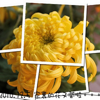 ���Ƕ�����