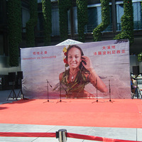 2010ꡤҵ羰