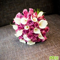 2010.6.16ƺҺҵLGҸĿʼ