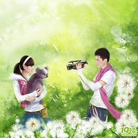 ��ʽ�ֻ��ɴ�գ�̫���ˣ�