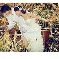 �����ϵ�����