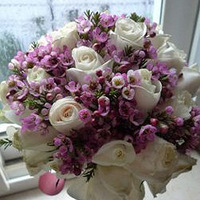 һ�����ߴ���Ļ���������