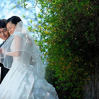 �Ͼ��Ļ�ɴ�⾰��