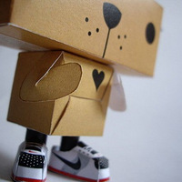 ��������һ˫��NIKE��ֽ��СЬЬ