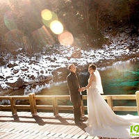 ���´�ѩ�׷��еĻ�ɴ��Ŷ��