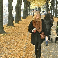 #�ﶬ#ȫ����ģ�����